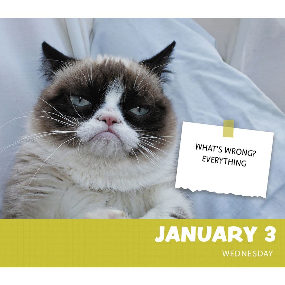 Grumpy Cat 2025 Desk Calendar