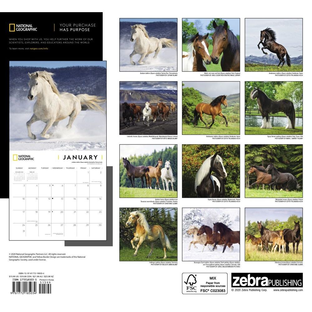 National Geographic Horses 2019 Calendar