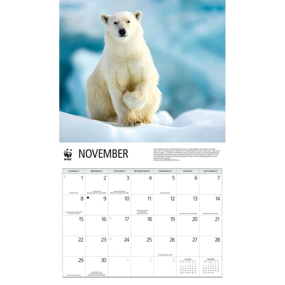Polar Bears WWF 2026 Wall Calendar Fourth Alternate Image