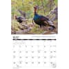 image Turkey 2026 Wall Calendar Second Alternate Image