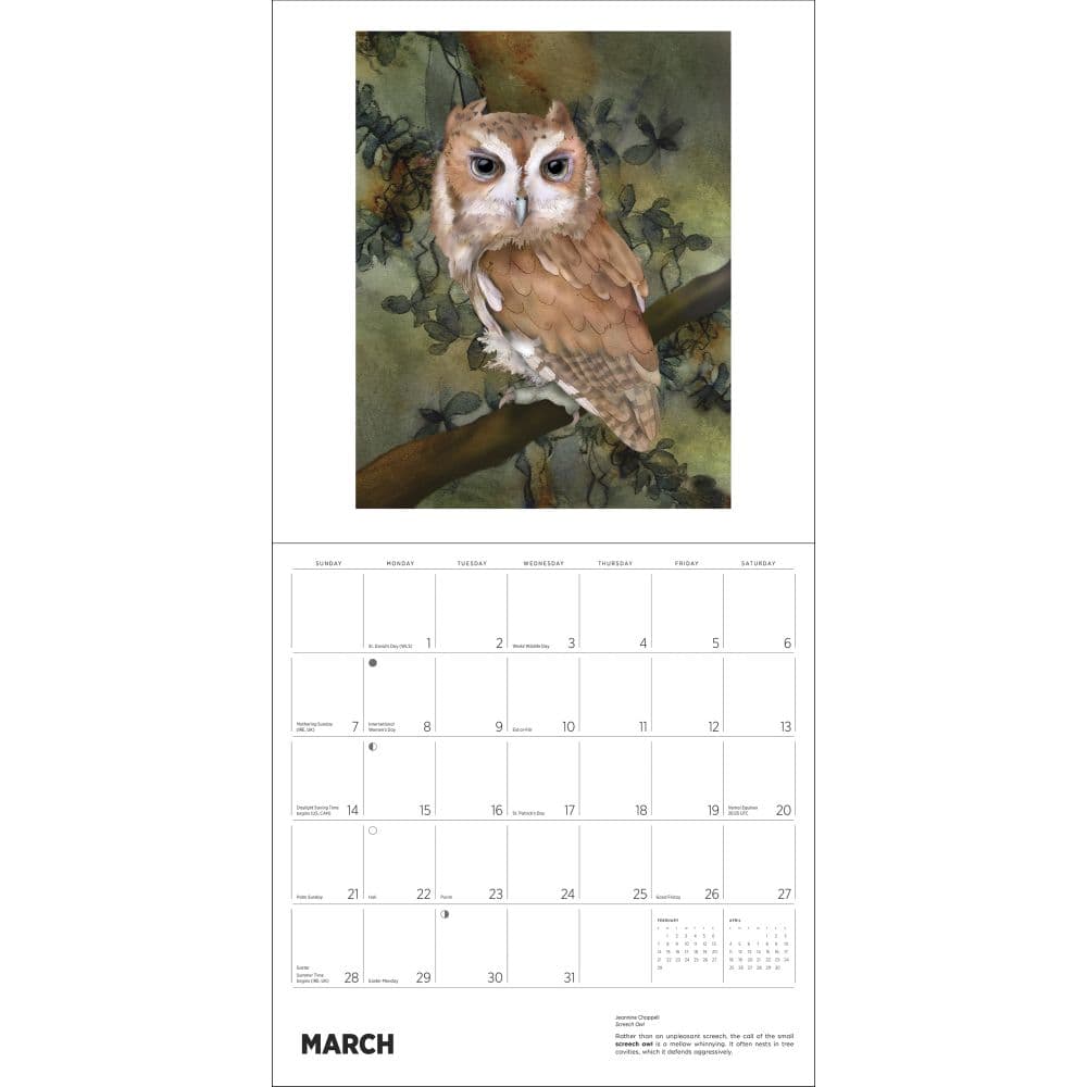 Owls 2027 Wall Calendar by Jeannine Chappel Second Alternate Image