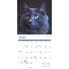 image Cats 2025 Wall Calendar Third Alternate Image width=&quot;1000&quot; height=&quot;1000&quot;