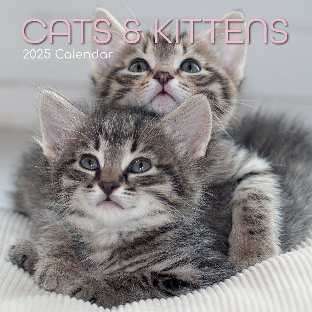 Cats and Kittens 2025 Wall Calendar - Calendars.com