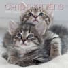 image Cats and Kittens 2025 Wall Calendar Main Product Image width=&quot;1000&quot; height=&quot;1000&quot;