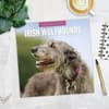 image Irish Wolfhounds 2025 Wall Calendar