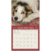 image Dogs We Love Ross 2025 Wall Calendar Second Alternate Image width=&quot;1000&quot; height=&quot;1000&quot;