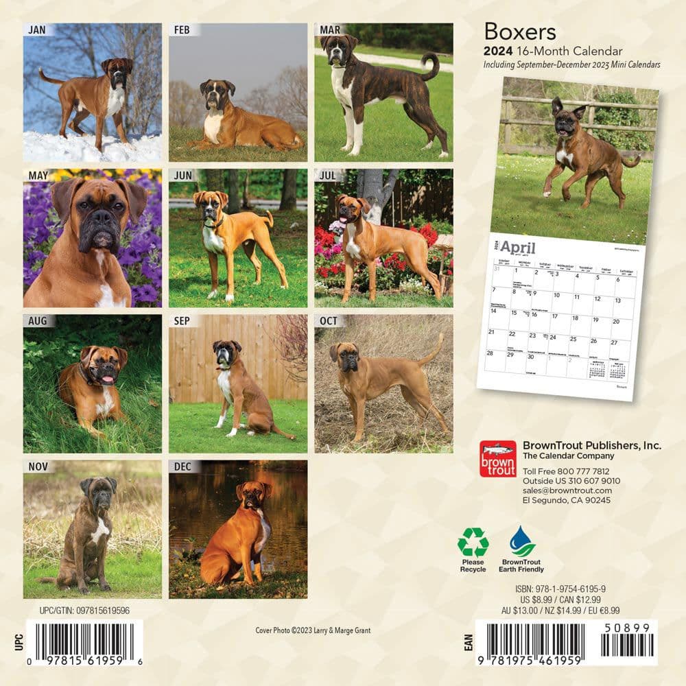 Boxers International Edition 2024 Mini Wall Calendar First Alternate Image width=&quot;1000&quot; height=&quot;1000&quot;