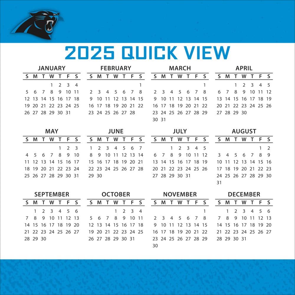 NFL Carolina Panthers 2025 Desk Calendar Third Alternate Image