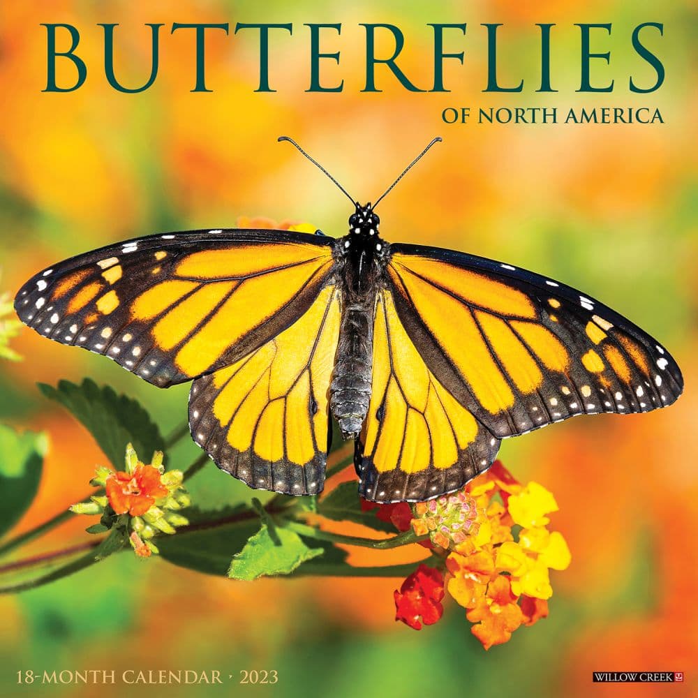 Butterflies Wall Calendar - Calendars.com