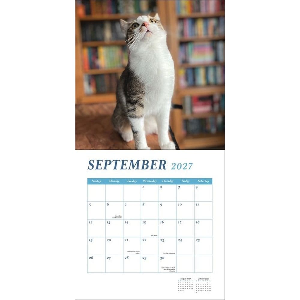 Cats and Books 2027 Wall Calendar Third Alternate Image