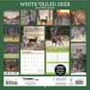 image White Tailed Deer 2024 Wall Calendar back cover
