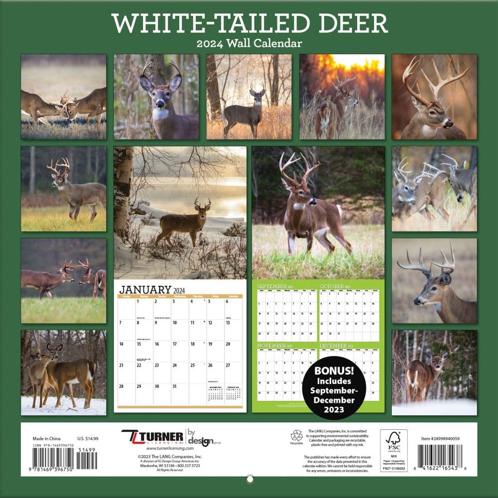 White Tailed Deer 2024 Wall Calendar back cover