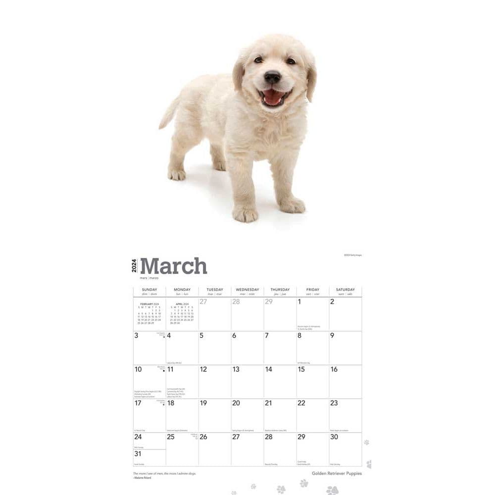 Golden Retriever Puppies  2024 Wall Calendar Alternate Image 2