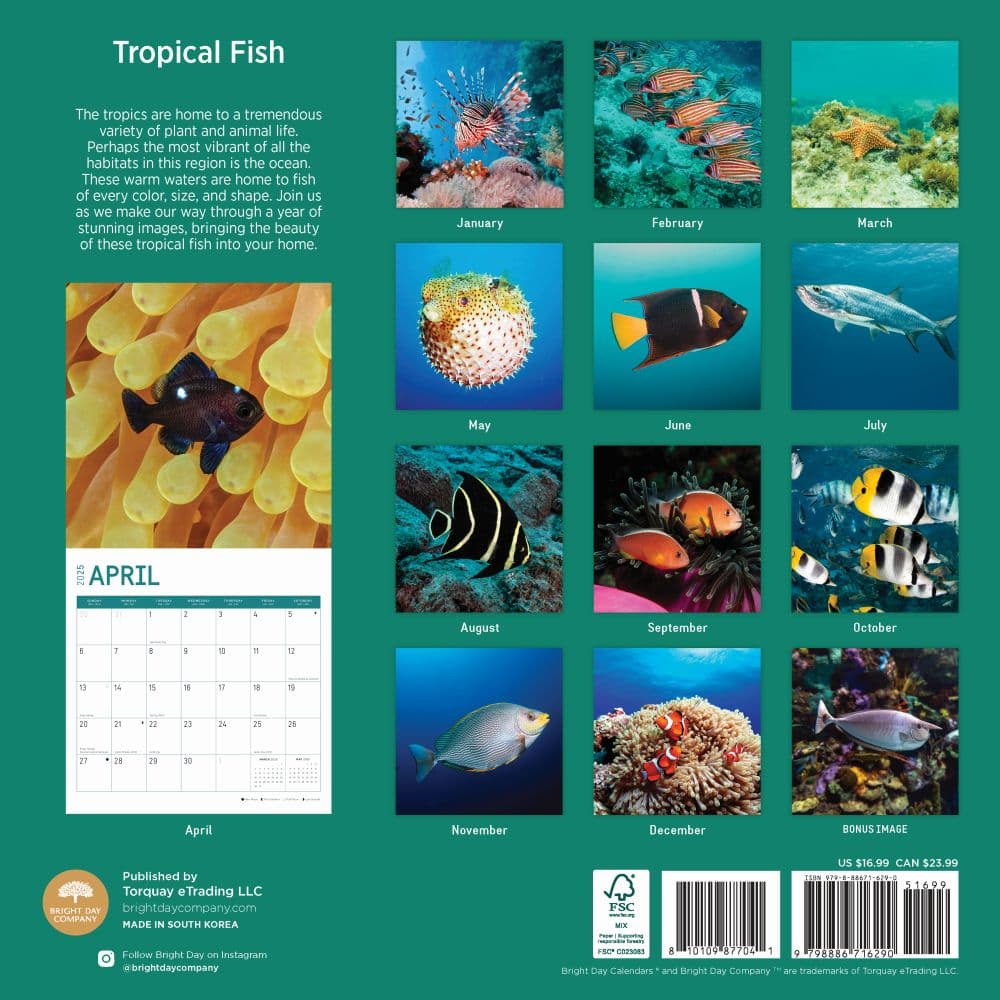 Tropical Fish 2025 Wall Calendar First Alternate Image width=&quot;1000&quot; height=&quot;1000&quot;