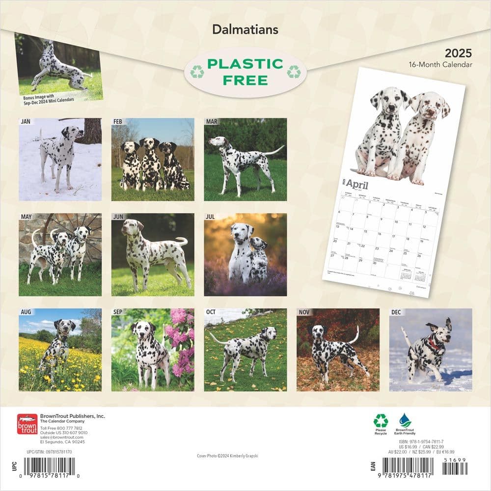 Dalmatians 2025 Wall Calendar First Alternate Image