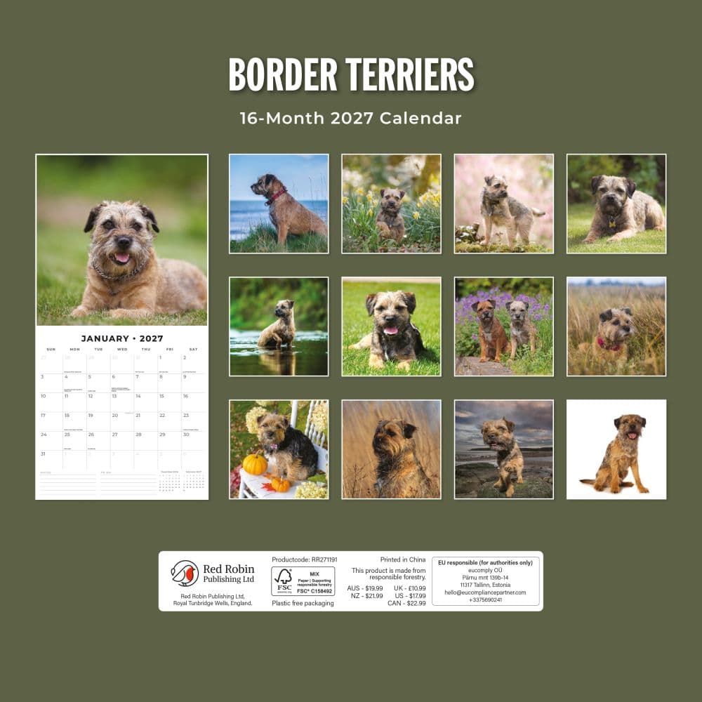 Border Terriers 2027 Wall Calendar First Alternate Image