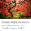 image Bible Verses 2025 Page-a-Day Desk Calendar Fifth Alternate Image