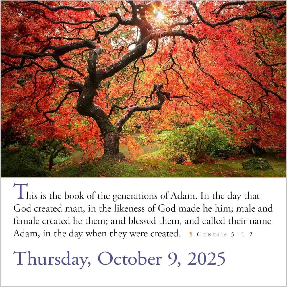 Bible Verses 2025 Page-a-Day Desk Calendar Fifth Alternate Image