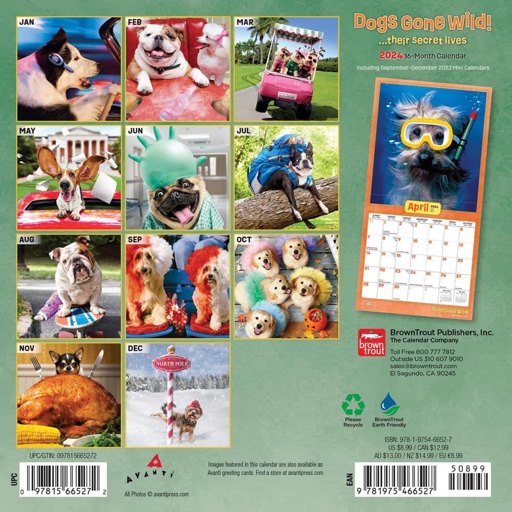 Avanti Dogs Gone Wild 2024 Mini Wall Calendar