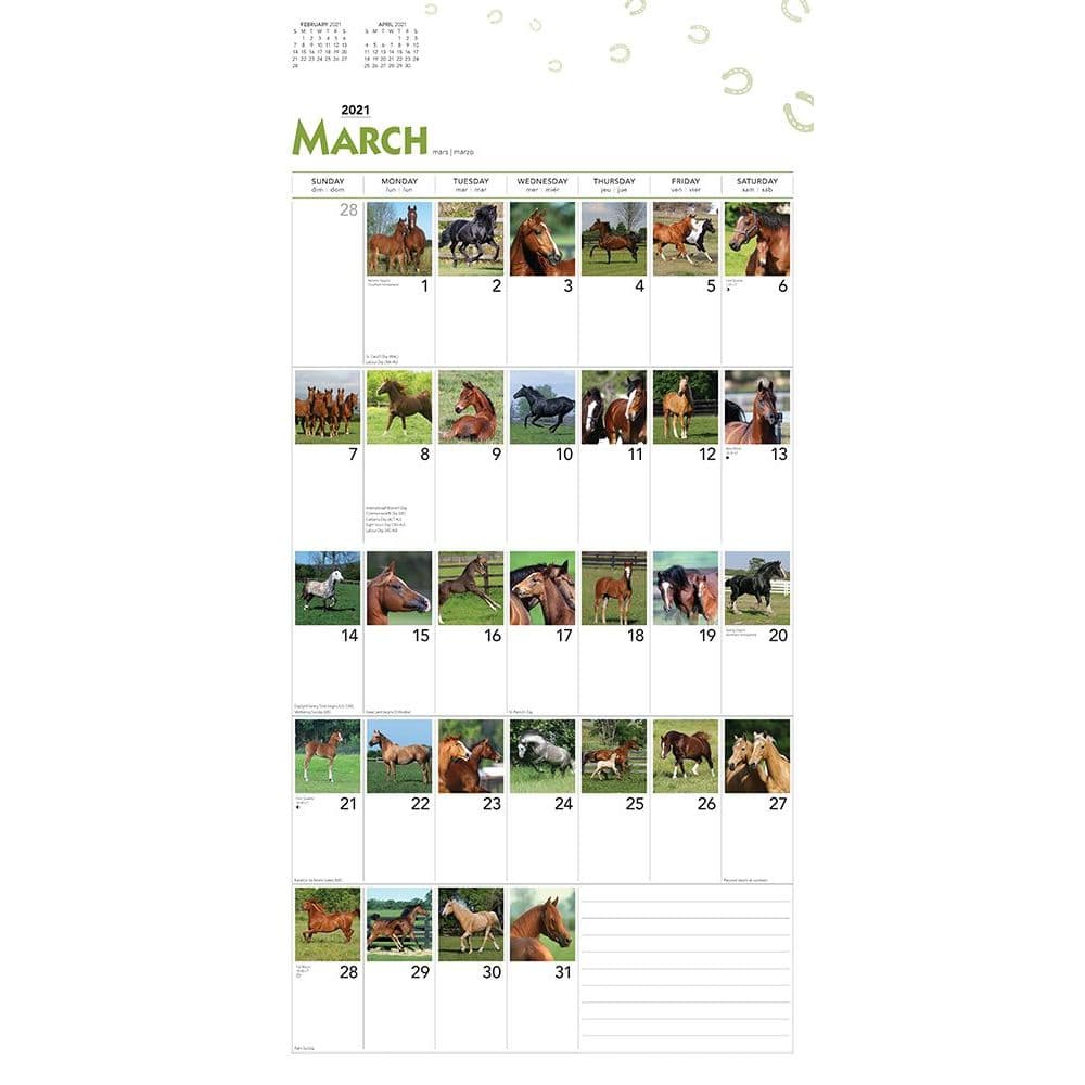 365 Days of Horses Wall Calendar