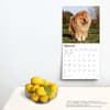 image Chow Chows 2024 Wall Calendar Third Alternate Image width=&quot;1000&quot; height=&quot;1000&quot;