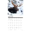 image Just Moose 2025 Wall Calendar