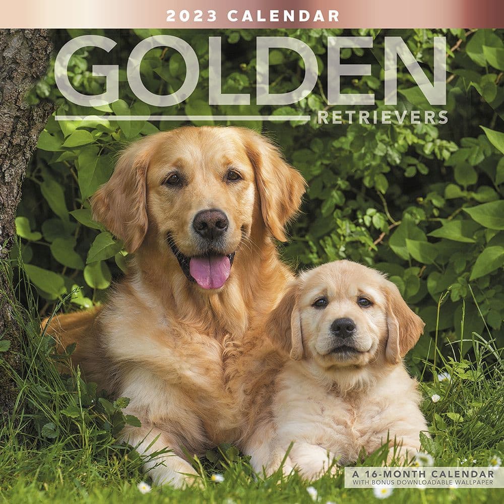 Macbook Chrome 5" Vinyl Decal for Car Golden Retriever Dog Breed Lover ect. 