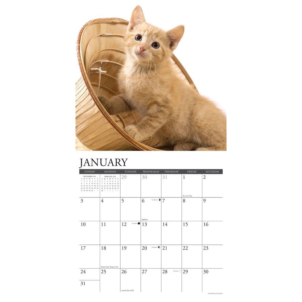 Ginger Cats Wall Calendar - Calendars.com