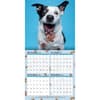 image Doggy Want A Treat 2024 Wall Calendar Third Alternate  Image width=&quot;1000&quot; height=&quot;1000&quot;