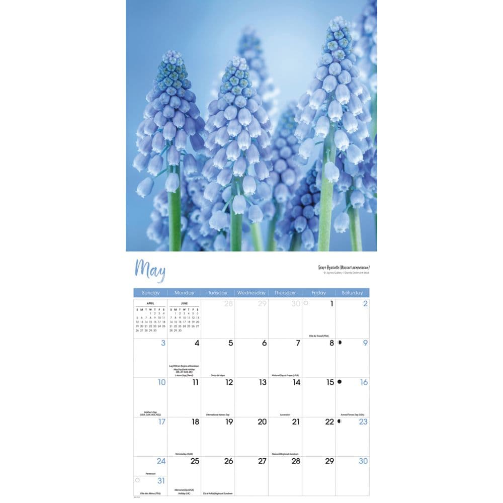 Flowers 2026 Wall Calendar Third Alternate Image