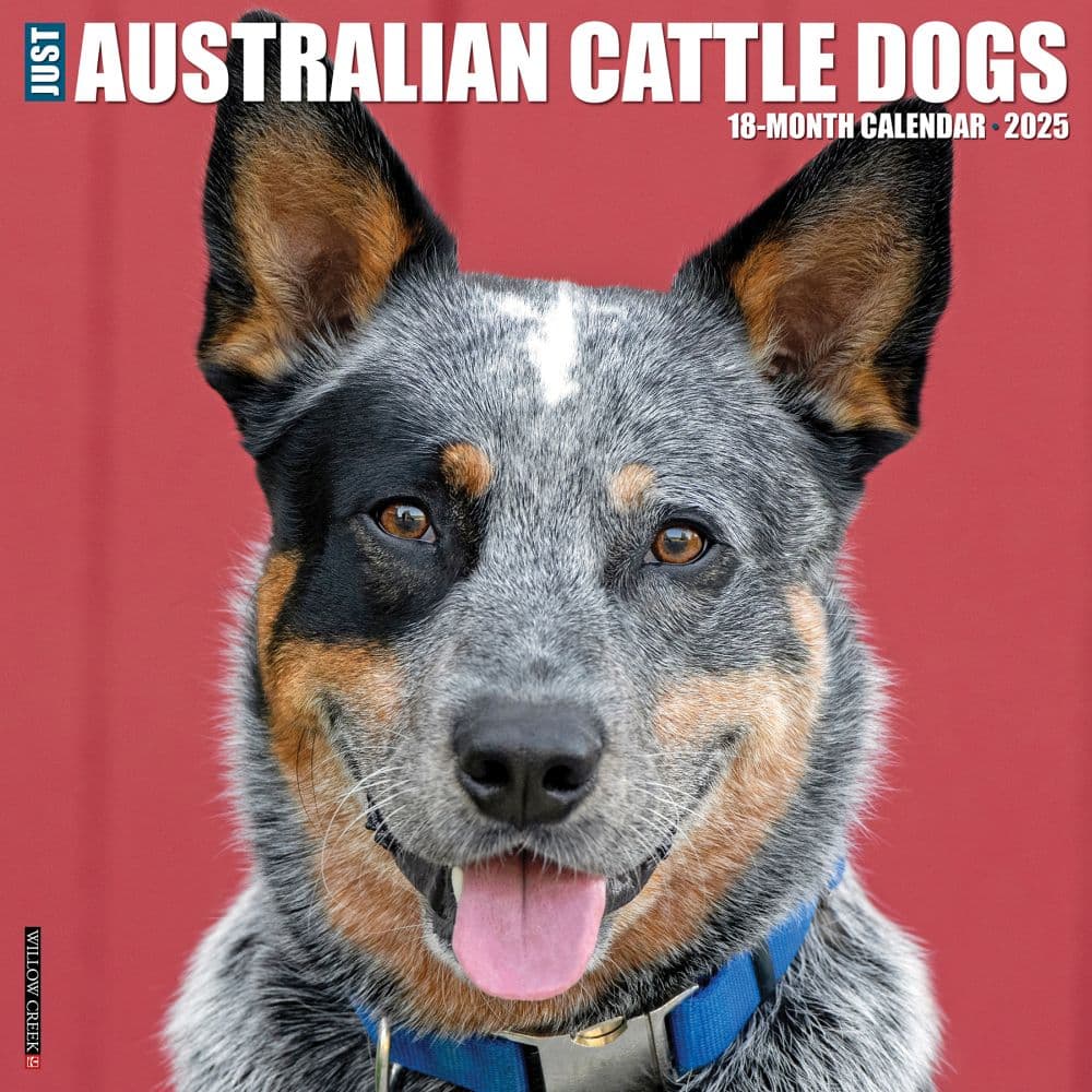 Just Australian Cattle Dogs 2025 Wall Calendar