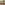 image Color My World 2025 Desktop Wallpaper