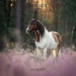 image Horses 2026 Wall Calendar Main Product Image