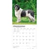 image Newfoundlands 2027 Wall Calendar Third Alternate Image