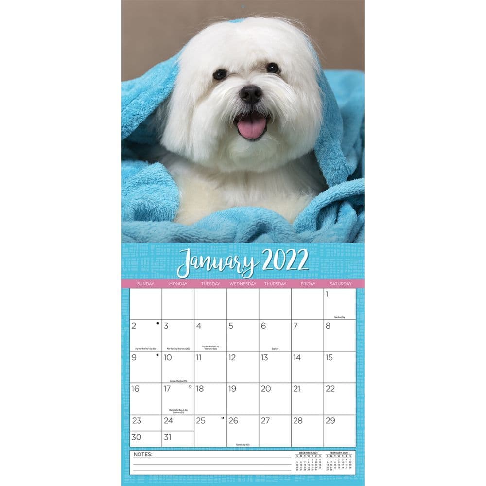 All Mixed Up! 2022 Wall Calendar - Calendars.com