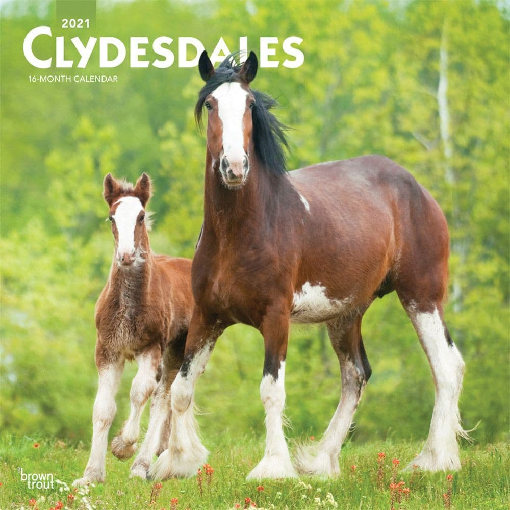 Clydesdales Wall Calendar - Calendars.com