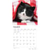 image Kittens I Love 2024 Wall Calendar Alternate Image 2