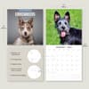 image Crossbreeds 2025 Wall Calendar Third Alternate Image width=&quot;1000&quot; height=&quot;1000&quot;