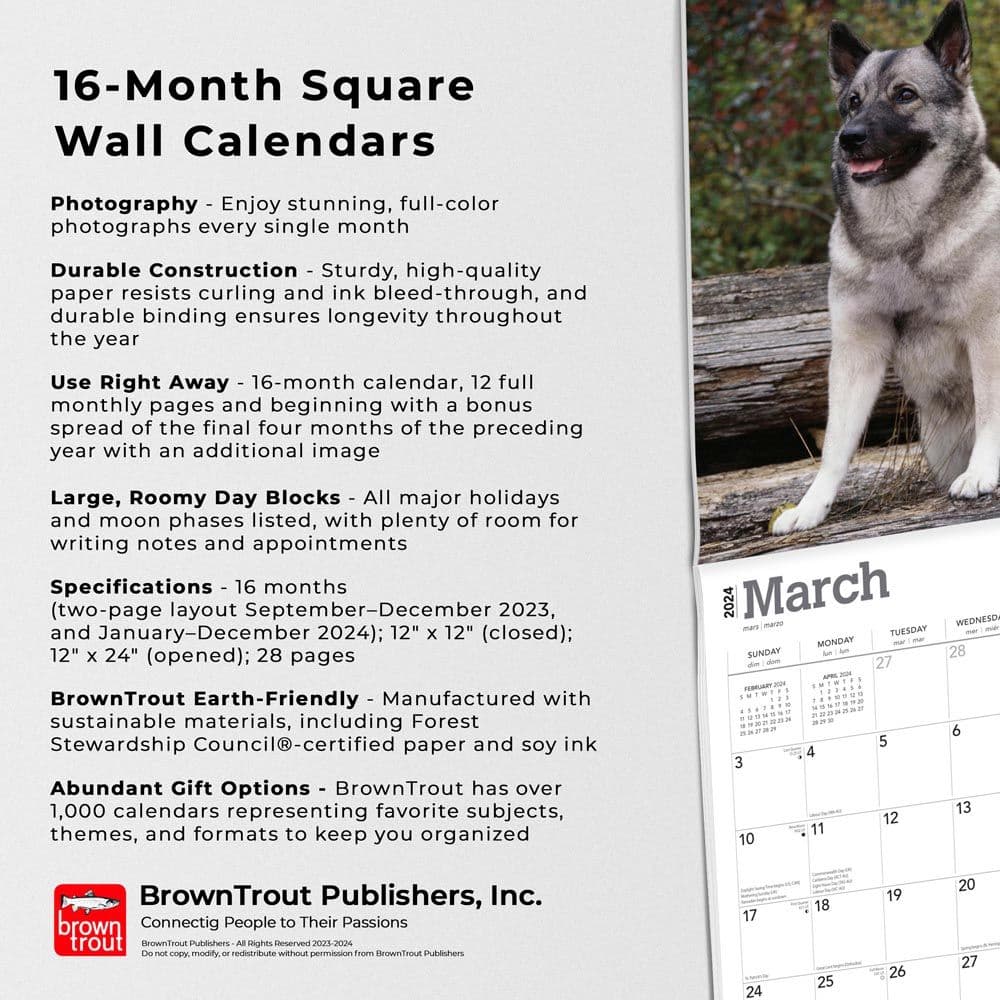 Norwegian Elkhounds 2024 Wall Calendar