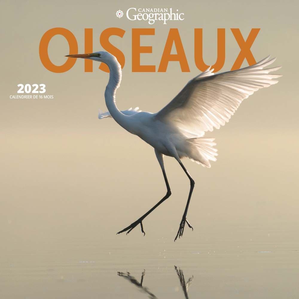 Wyman Publishing Canadian Geographic Oiseaux 2023 Wall Calendar