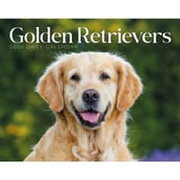 image Golden Retrievers 2026 Desk Calendar  Main Image