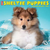 image Just Sheltie Puppies 2026 Wall Calendar Main Image