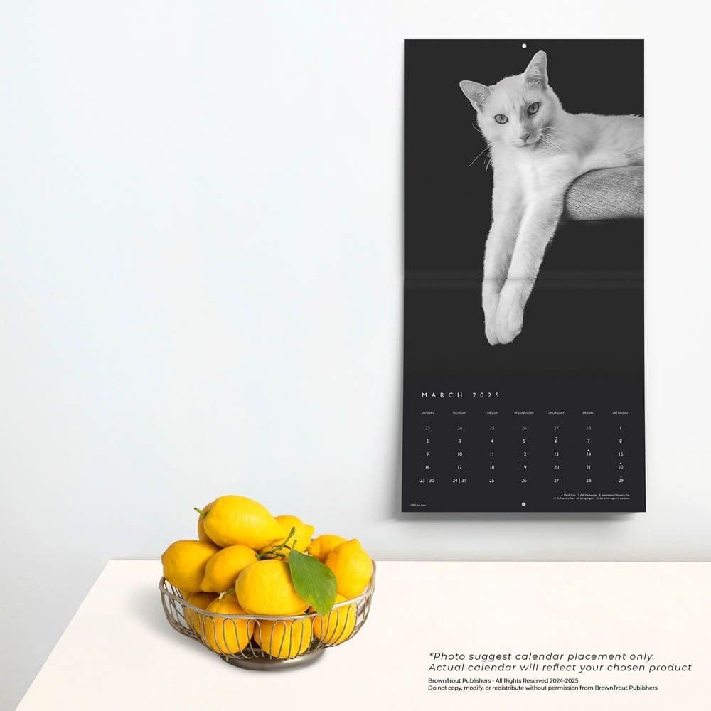 Cat Regal Portrait Series 2025 Wall Calendar Fourth Alternate Image