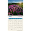 image Psalms 2026 Mini Wall Calendar Second Alternate Image