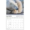 image Polar Bears WWF 2025 Wall Calendar Second Alternate Image width=&quot;1000&quot; height=&quot;1000&quot;