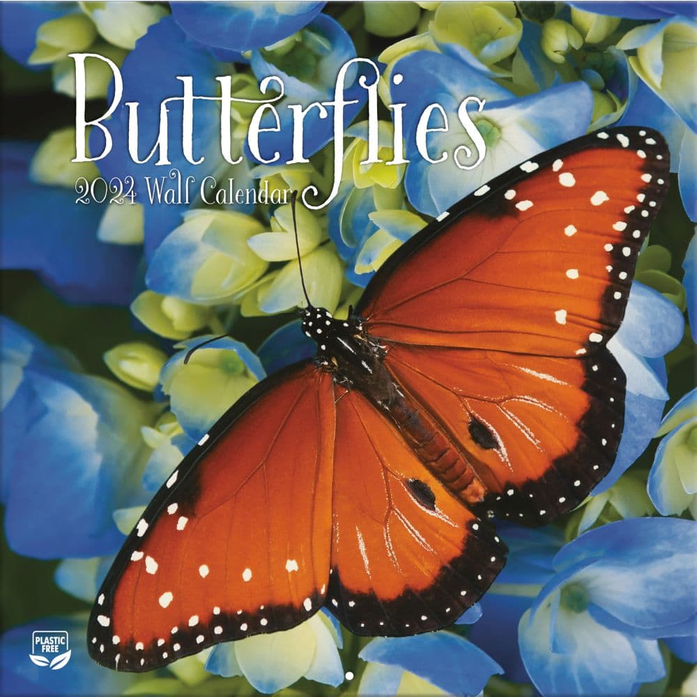 Butterflies Photo 2024 Wall Calendar