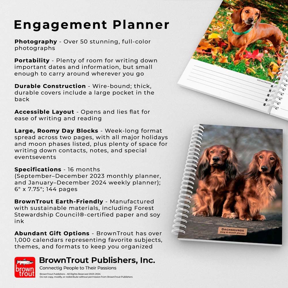 Dachshunds 2024 Planner