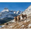 image American Landscapes WWF 2025 Wall Calendar Third Alternate Image width="1000" height="1000"