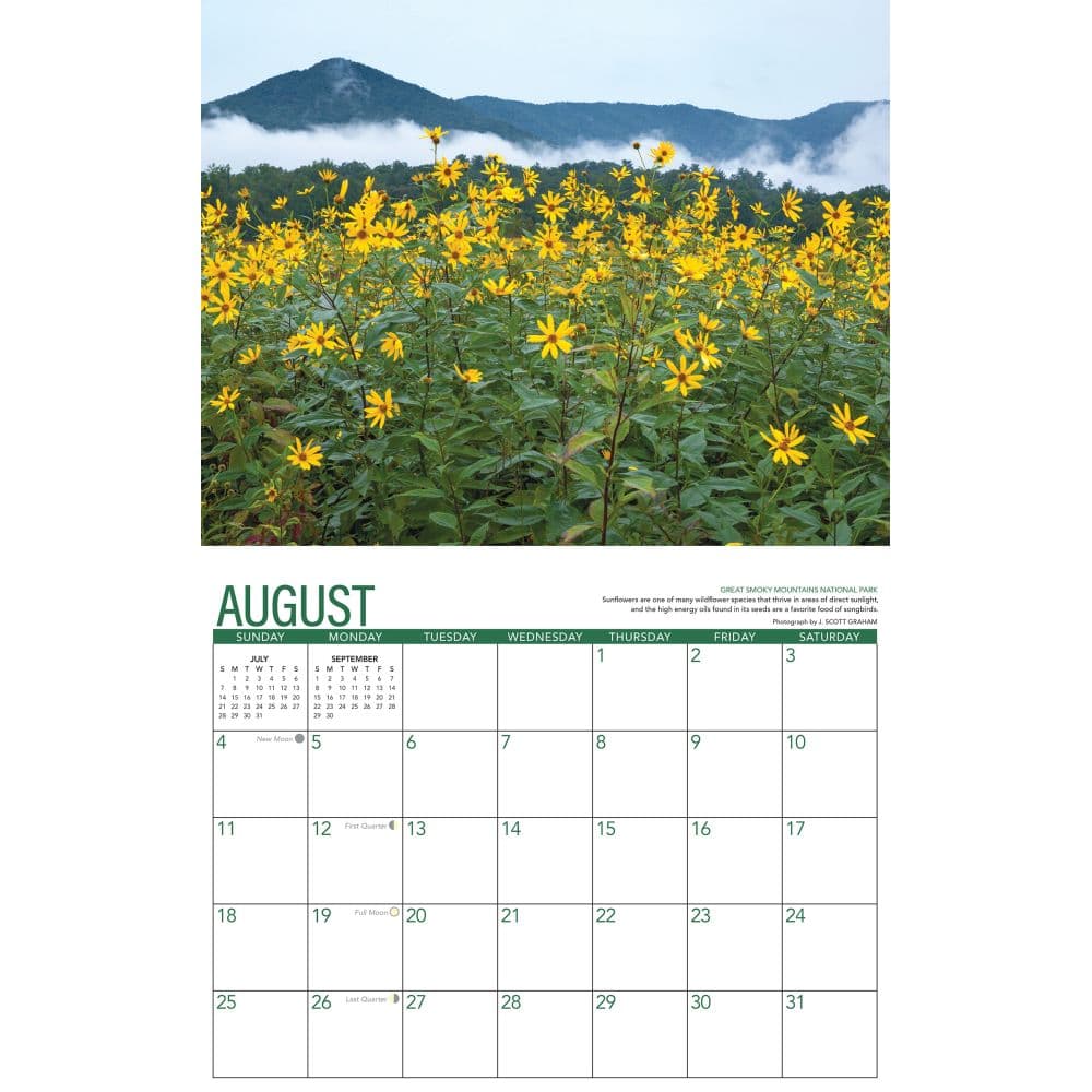 Great Smoky Mountains 2024 Wall Calendar Calendars Com   Fc4a2063 C095 4eec 8d64 Ca7243bc8c33