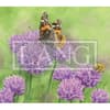 image Herb Garden 2024 Desktop Wallpaper